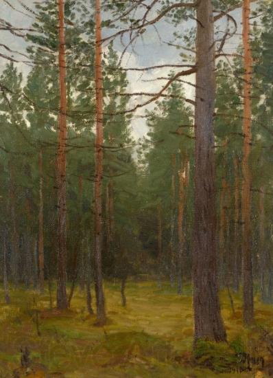 unknow artist Pine forest